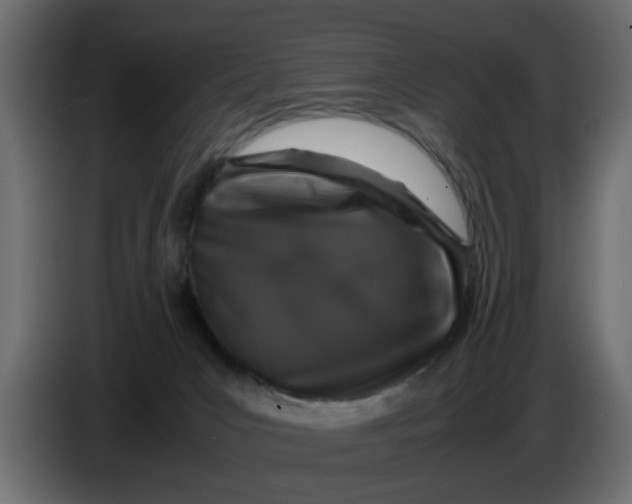 X0000083580031200703021828