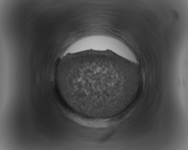 X0000083580032200703021828