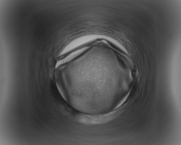 X0000083580033200703021828