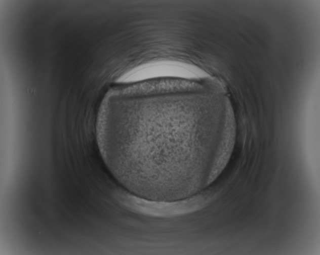 X0000083580034200703021828