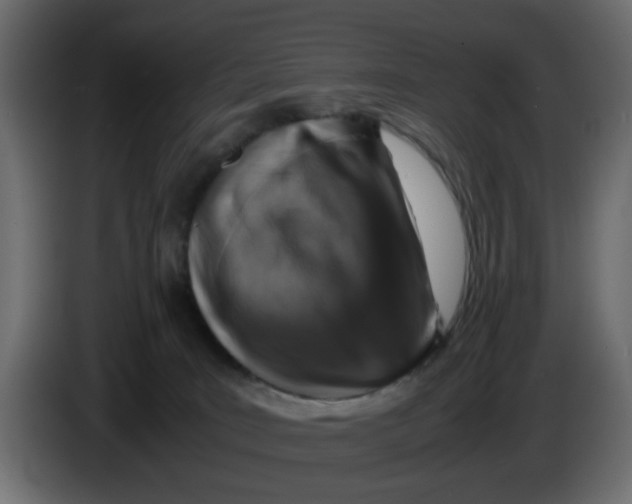 X0000083580035200703021828