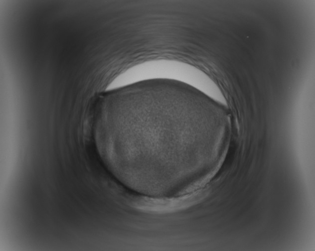 X0000083580037200703021828