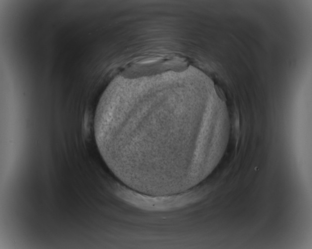 X0000083580038200703021828