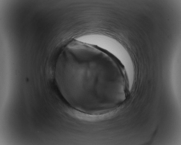 X0000083580039200703021828