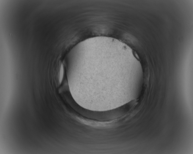 X0000083580040200703021828