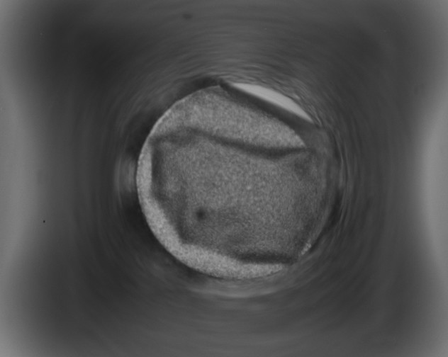 X0000083580041200703021828