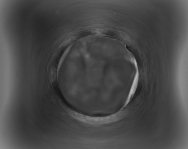 X0000083580043200703021828