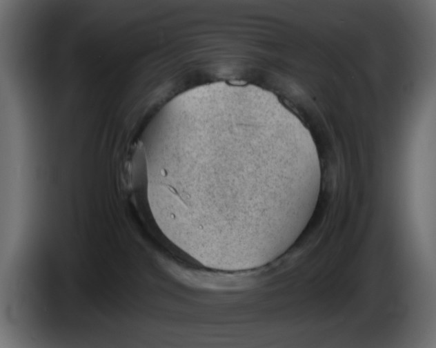 X0000083580044200703021828