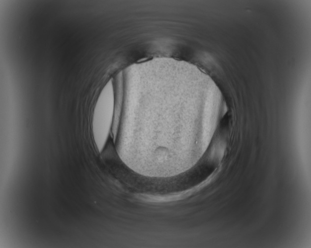 X0000083580045200703021828