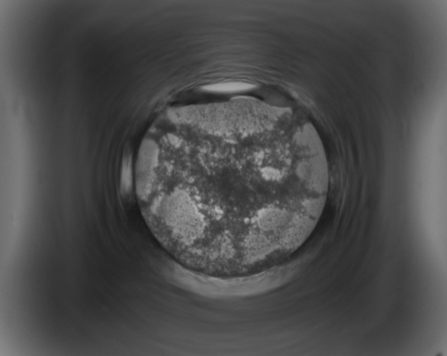 X0000083580046200703021828