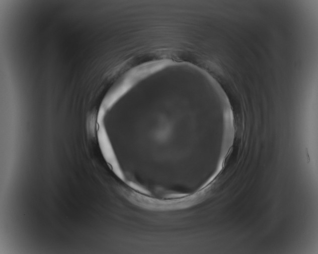 X0000083580047200703021828