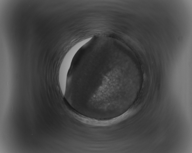 X0000083580048200703021828