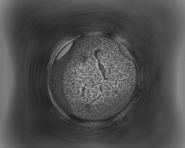 X0000083580049200703021827