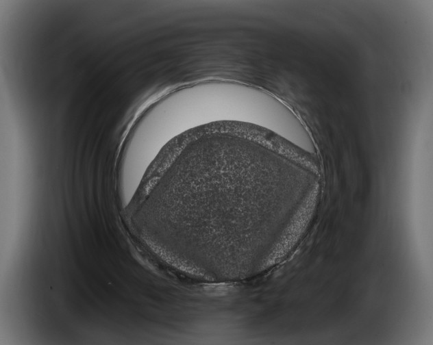 X0000083580050200703021827