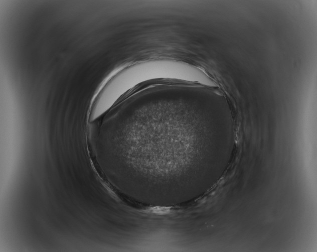 X0000083580052200703021827