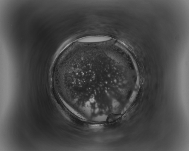 X0000083580053200703021827