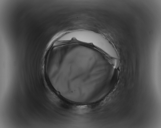 X0000083580054200703021827