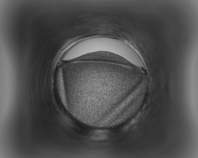 X0000083580055200703021827