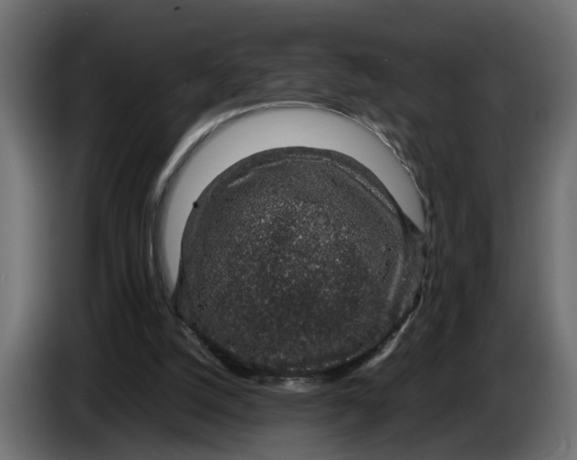 X0000083580056200703021827