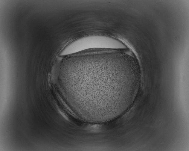 X0000083580057200703021827