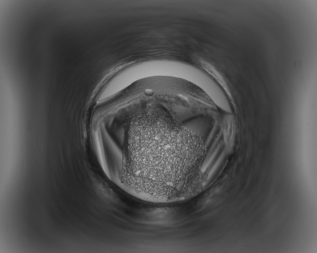 X0000083580059200703021827