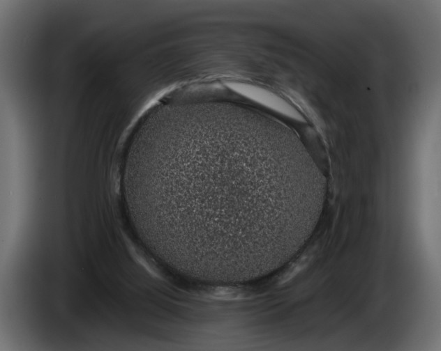 X0000083580060200703021827