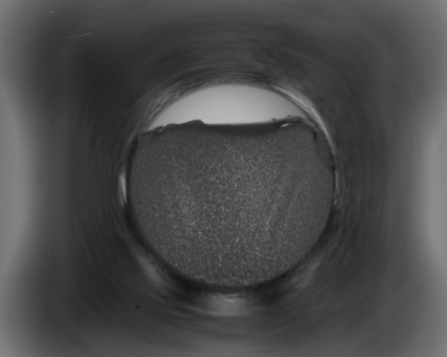 X0000083580061200703021828