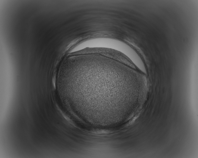 X0000083580062200703021828