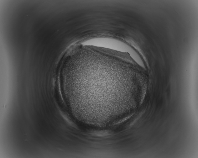 X0000083580063200703021828