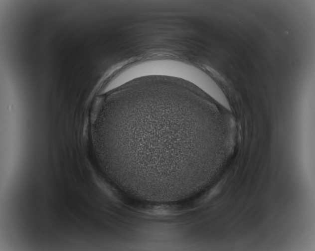 X0000083580064200703021828