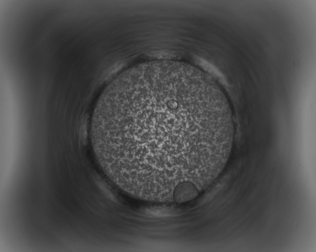 X0000083580065200703021828