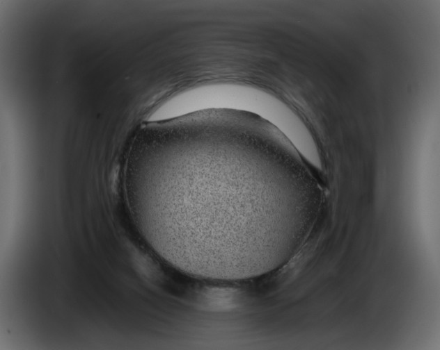 X0000083580066200703021828