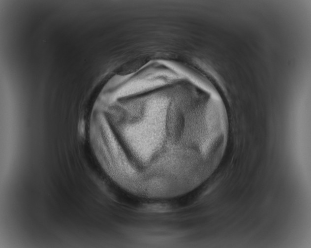 X0000083580067200703021828