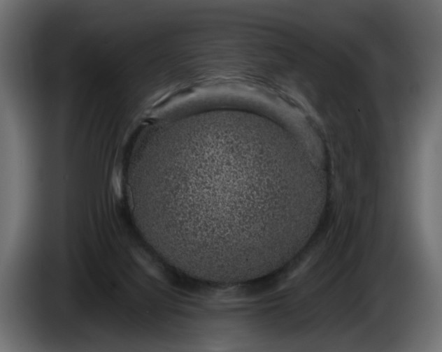 X0000083580068200703021828