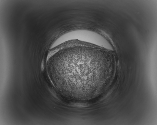 X0000083580069200703021828