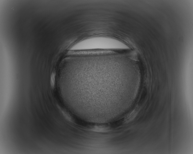 X0000083580070200703021828