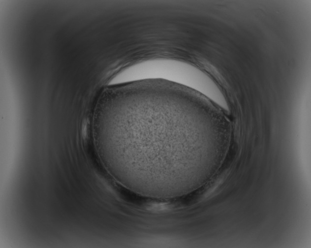 X0000083580071200703021828