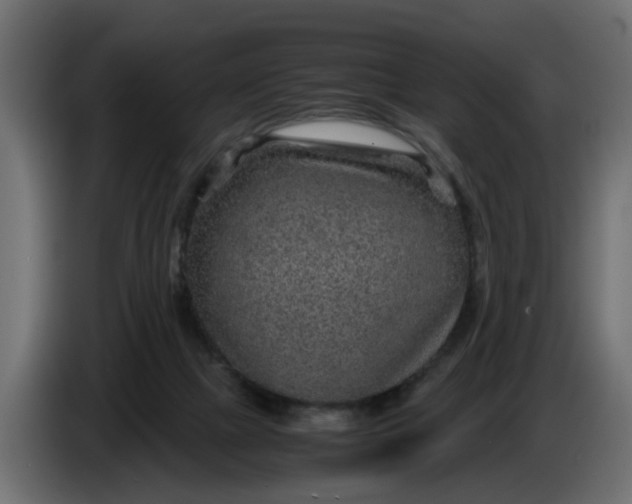 X0000083580073200703021828