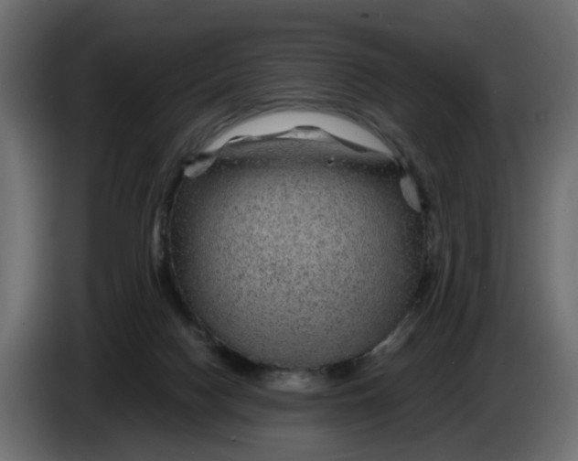 X0000083580074200703021828