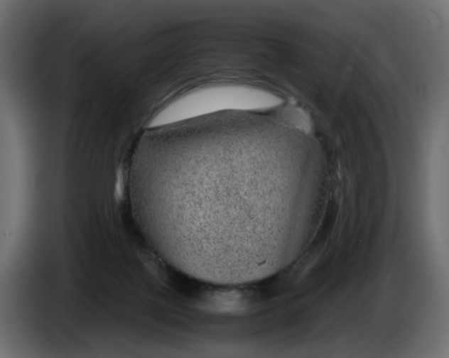 X0000083580075200703021828