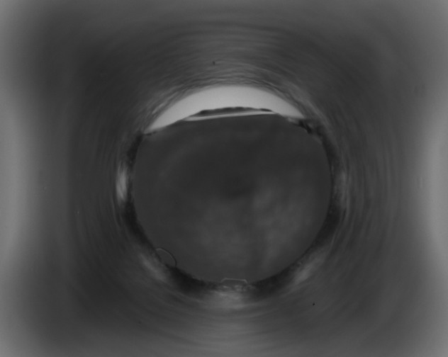 X0000083580076200703021828