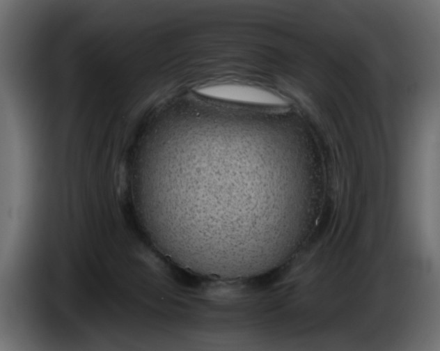 X0000083580077200703021828