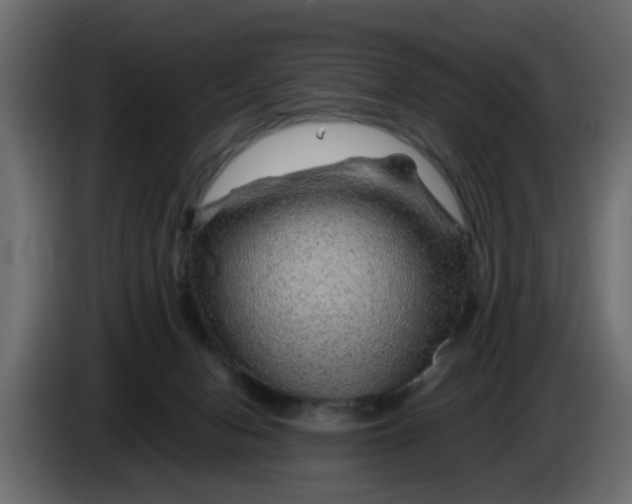 X0000083580078200703021828