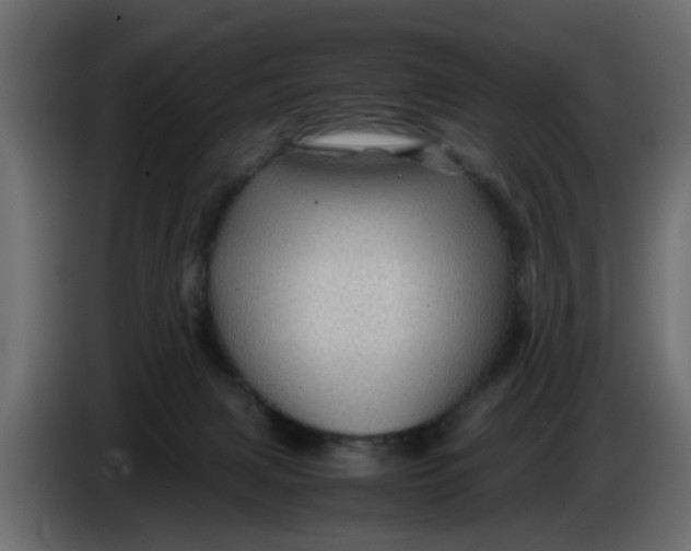 X0000083580079200703021828