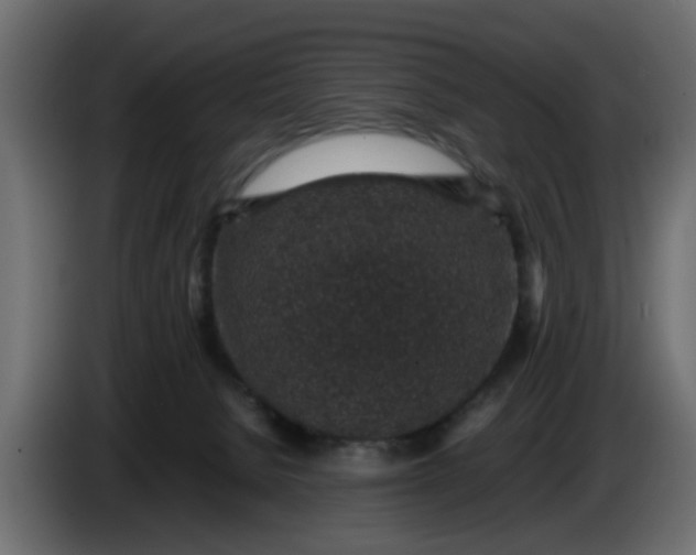 X0000083580080200703021828