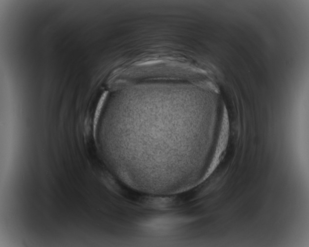 X0000083580081200703021828