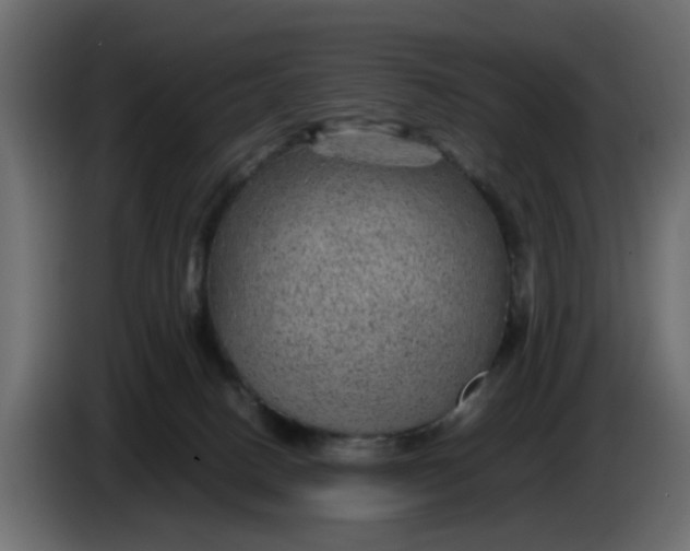 X0000083580082200703021828