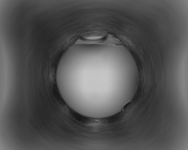 X0000083580083200703021828