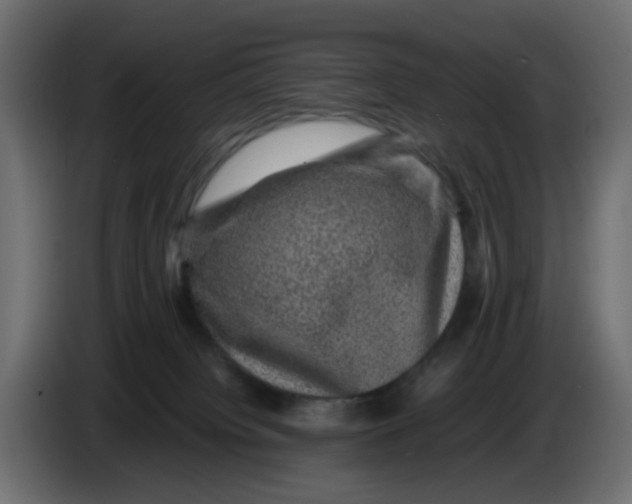 X0000083580084200703021828