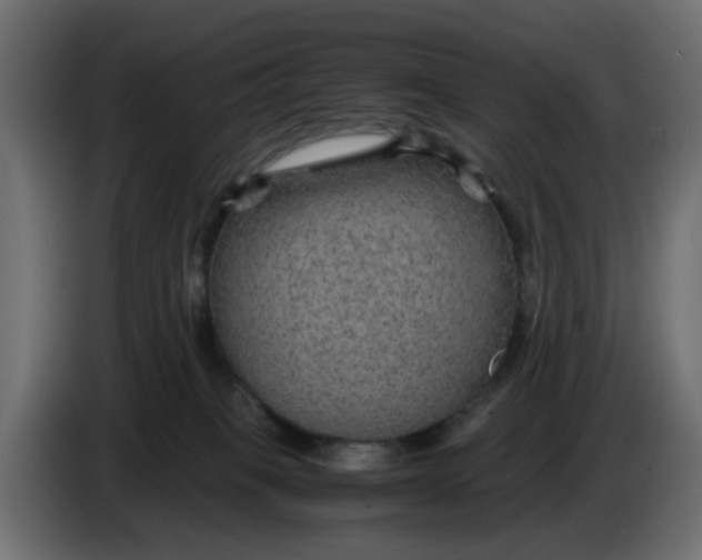 X0000083580085200703021828